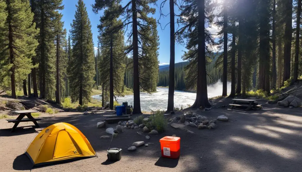 Yellowstone campsite safety